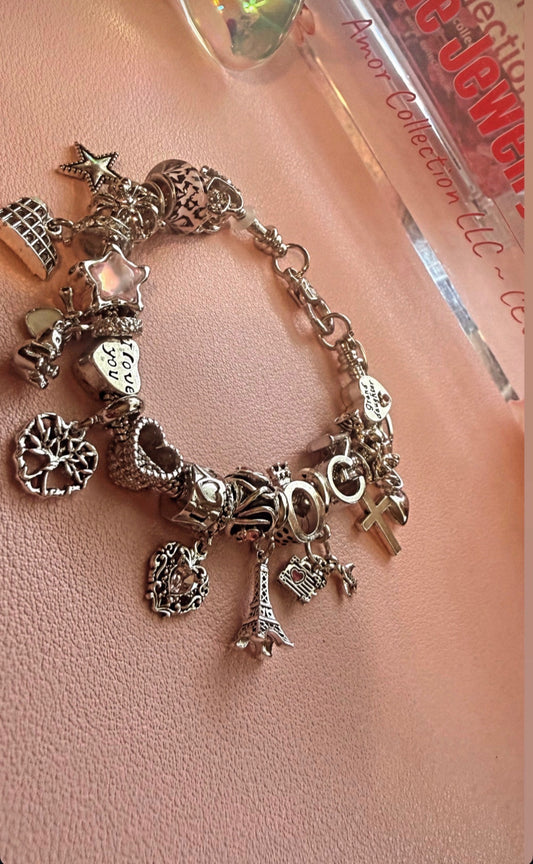 Silver Assorted Custom Charm Bracelet